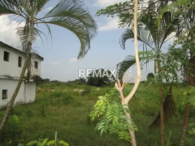 FINCA DE 3.8 HAS. EN VENTA EN BOQUERON, TACARIGUA, MUNICIPIO CARLOS ARVELO EDO. CARABOBO - 6