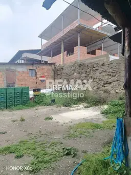 Vista 19