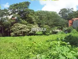 Vista 5