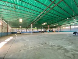 Vista 5