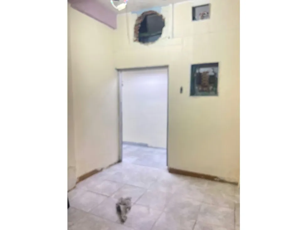 Alquiler de Local Comercial en Catia 200 metros.2500$ - 9