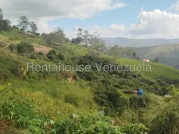 Vista 11