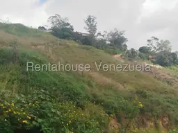 Vista 12