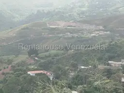 Vista 14