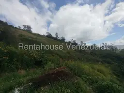 Vista 17