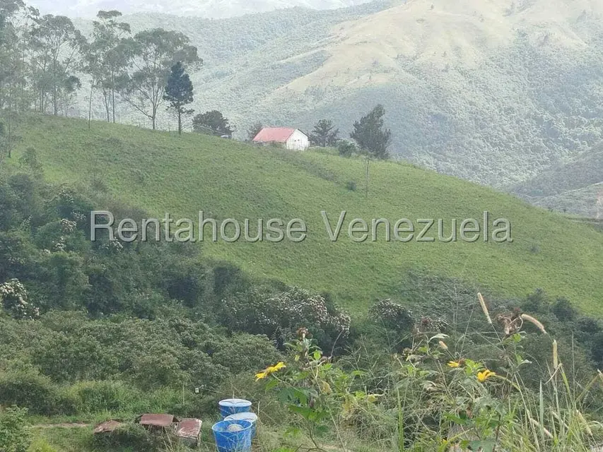 Terreno (Comercial) en Venta en El Junquito, Distrito Metropolitano - 18