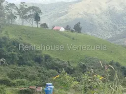 Vista 18
