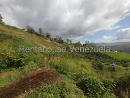 Vista 19