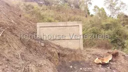 Vista 5