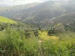 Vista 9