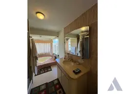 Vista 25
