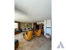 Vista 36