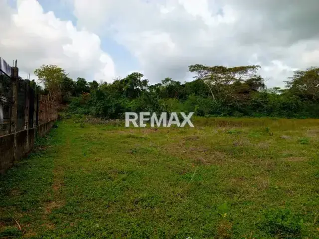 VENDE TERRENO DE 10.000M2 EN EL POBLADO DE SANARE, FALCON