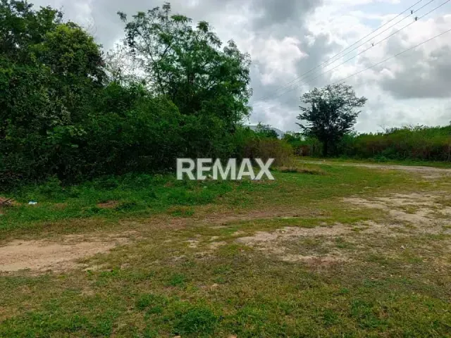 VENDE TERRENO DE 10.000M2 EN EL POBLADO DE SANARE, FALCON - 2