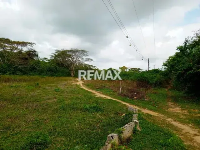 VENDE TERRENO DE 10.000M2 EN EL POBLADO DE SANARE, FALCON - 7