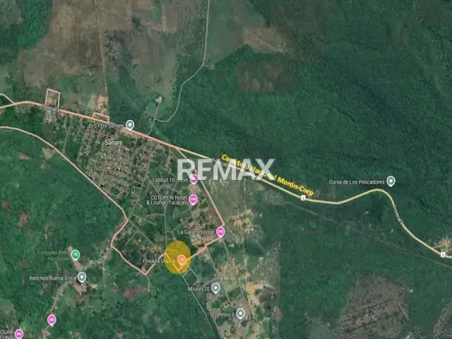 VENDE TERRENO DE 10.000M2 EN EL POBLADO DE SANARE, FALCON - 10