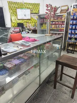 Vista 14