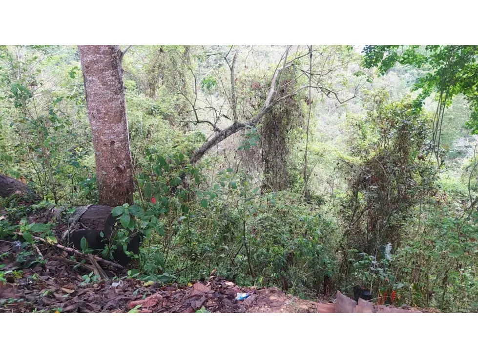 AMPLIO TERRENO EN VENTA EN LA UNIÓN-EL HATILLO 30.000mts