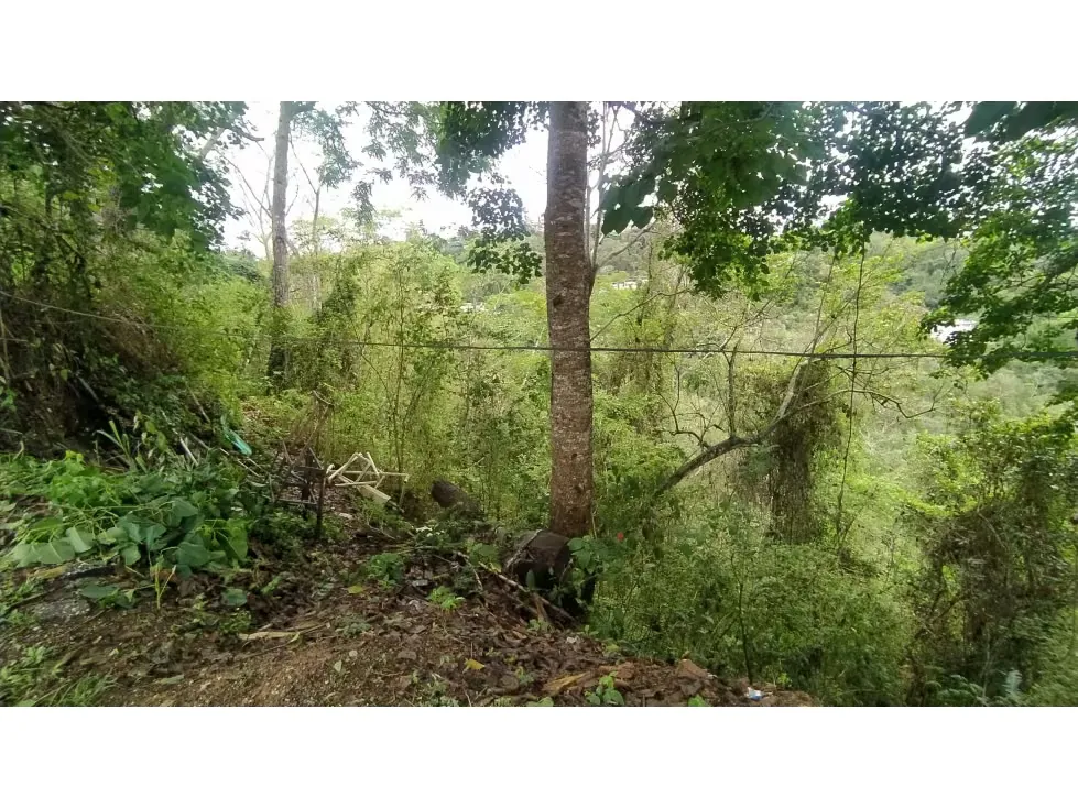 AMPLIO TERRENO EN VENTA EN LA UNIÓN-EL HATILLO 30.000mts - 2