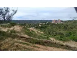 Vista 11