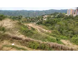 Vista 12
