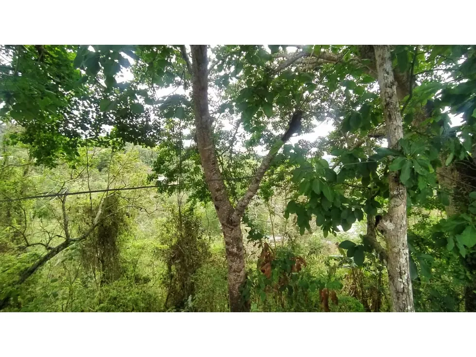 AMPLIO TERRENO EN VENTA EN LA UNIÓN-EL HATILLO 30.000mts - 4