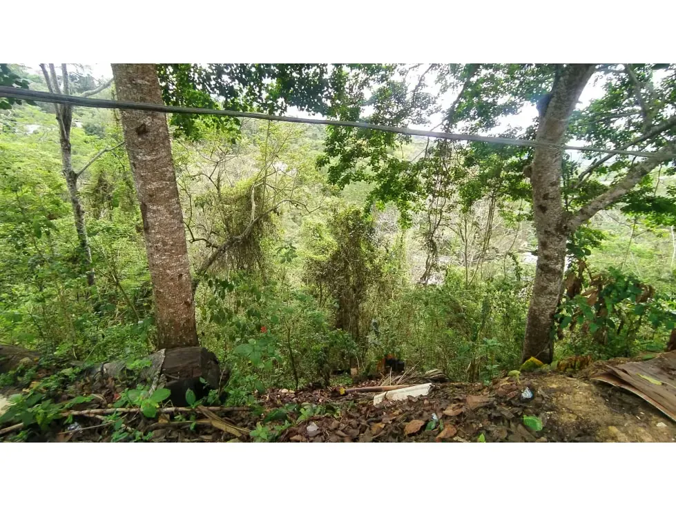 AMPLIO TERRENO EN VENTA EN LA UNIÓN-EL HATILLO 30.000mts - 6
