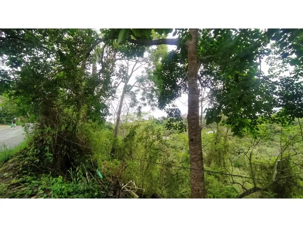 AMPLIO TERRENO EN VENTA EN LA UNIÓN-EL HATILLO 30.000mts - 7