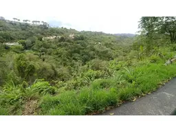 Vista 8