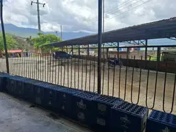 Vista 18