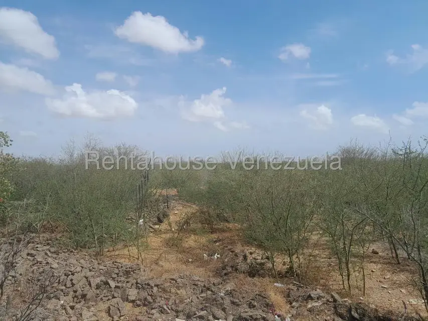 Galpon - Deposito en Venta en Monsenor Iturriza, Falcon - 18