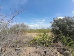 Vista 19