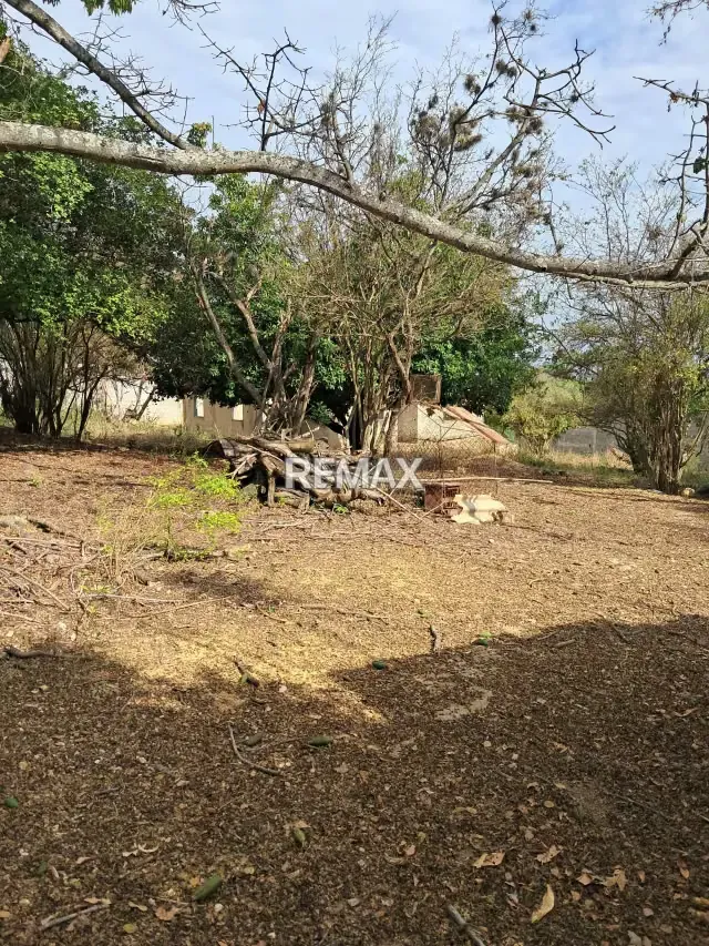 Se vende Terreno de 1000 m² con bienechuria en obra gris - 3