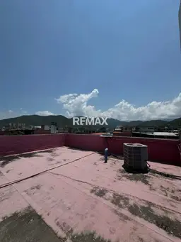 Vista 5