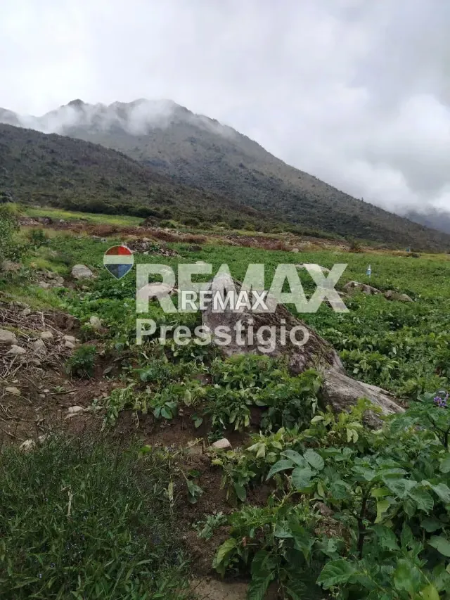 Terreno en Venta - 11