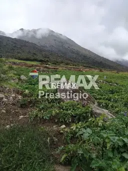 View 11