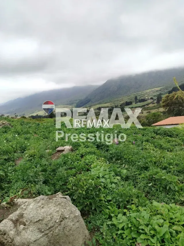 Terreno en Venta - 14