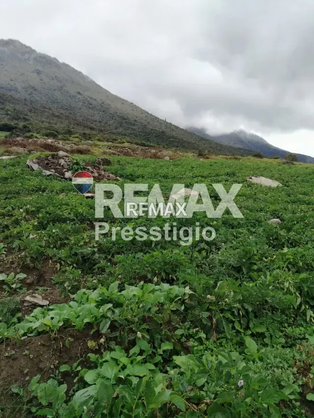 Terreno en Venta - 15