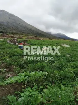 View 15