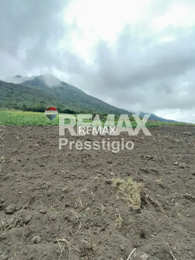 Terreno en Venta - 17