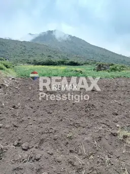 View 18