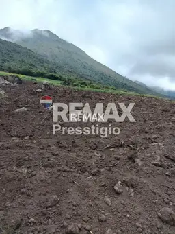 View 19