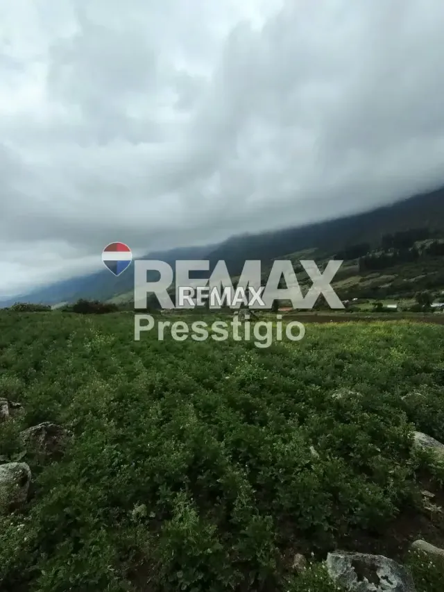Terreno en Venta - 20
