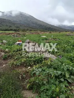 View 10
