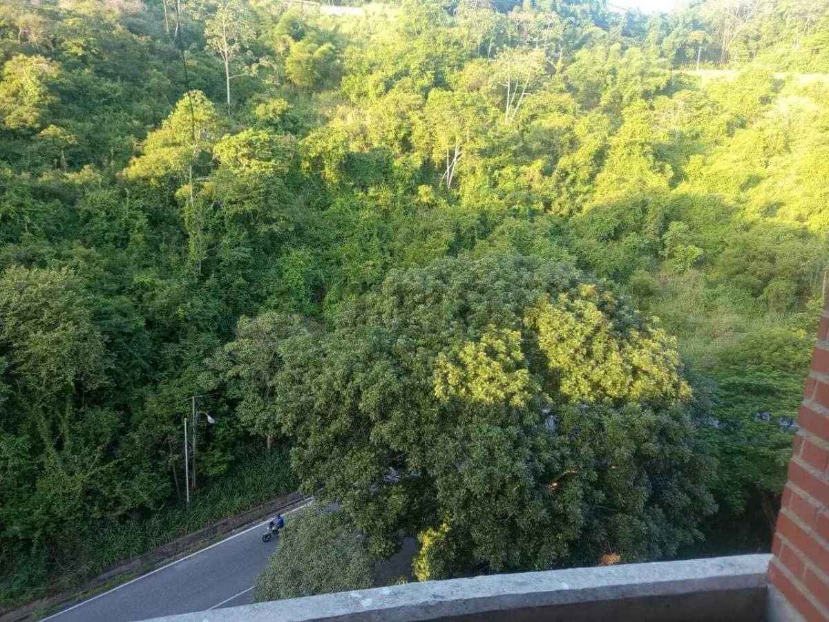 Apartamento en Venta Lomas del Avila Caracas - 11