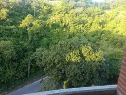 Vista 11