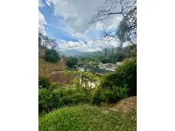 Vista 6