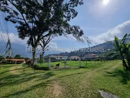 Vista 1
