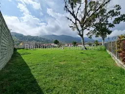 Vista 12