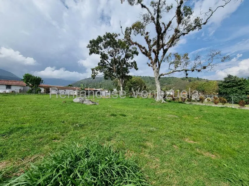 Terreno (Residencial) en Venta en La Pedregosa, Merida - 14